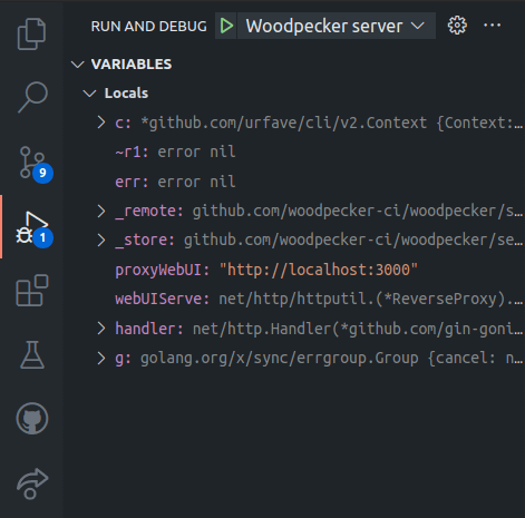 Woodpecker debugging with VS Code